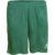 Shorts Select Pisa – Grün – male – Size: 3XL