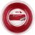 MSV Focus – HEX Saitenrolle 200m Rot 1.10