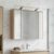 vidaXL Badezimmerspiegelschrank Sonoma-Eiche 73,5 x 16 x 62,5 cm Braun