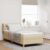 vidaXL Boxspringbett mit Kopfteil Creme 90 x 190 cm Stoff Creme