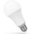 SpectrumLED® Premium LED Glühbirne, Leuchtmittel E27 20W = 130 Watt 2045 Lumen 3000K warmweiß Winkel 220º Länge 123 mm