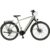 PROPHETE E-Bike, »ENTDECKER 5.0«, 28 Zoll, 10 Gänge, grau matt