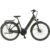 Prophete E-Bike Geniesser 4.0 City 28″