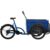 BBF eCargorider 3.1 Royal Lastenrad 26/24 Zoll Elektro Lastenfahrrad Cargo Bike Damen Herren Cargo Cycle bis 132 kg Zuladung