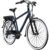 Agon Avesa E Bike Trekkingrad Herren ab 155 cm mit Nabenmotor Pedelec Trekking Fahrrad mit 21 Gang und Beleuchtung StVZO