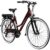 Agon Avesa E Bike Trekkingrad Damen Herren ab 155 cm mit Nabenmotor Pedelec Trekking Fahrrad mit 21 Gang und Beleuchtung StVZO Tiefeinsteiger