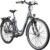 Zündapp E-Bike City Green 3.7 28 Zoll 7-Gang 536 Wh grau GLO664013216