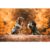 DOG SPORT HUNTER Hundemantel Uppsala 37,5, taupe