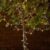 Lights4fun Pro Connect 100m 1000er LED Lichterkette gold warmweiß koppelbar weißes Kabel