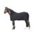 Euroriding Abschwitzdecke Dry Easy, schwarz, 125 cm