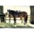 Kentucky Horsewear Lammfell-Stollengurt schwarz 135 cm