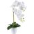Pflanzen-Kölle Kunstpflanze Phalaenopsis, weiß, Höhe ca. 56 cm