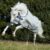 Bucas Weidedecke POWER TURNOUT Extra, silver 165