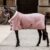 Kentucky Horsewear Turnierdecke VELVET 160g altrosé 155